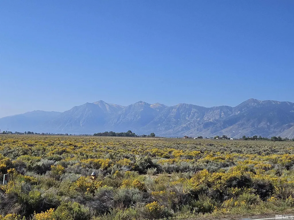 1205 Stephanie Minden NV 89423