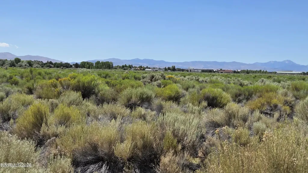 1205 Stephanie Minden NV 89423