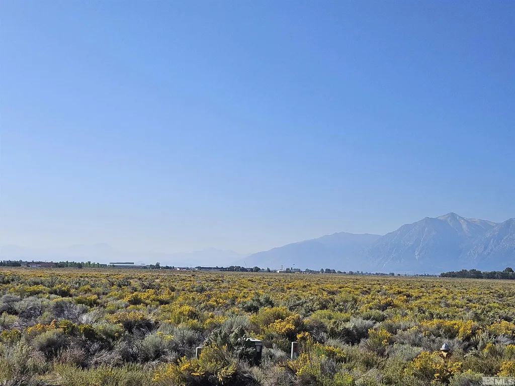 1205 Stephanie Minden NV 89423