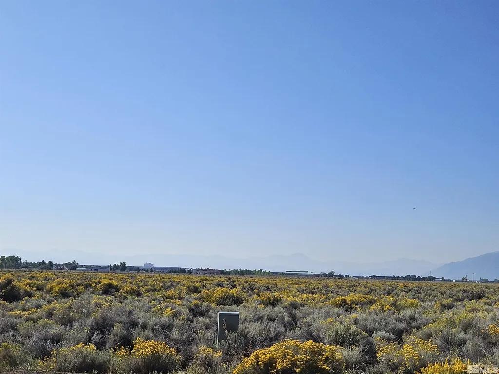 1205 Stephanie Minden NV 89423