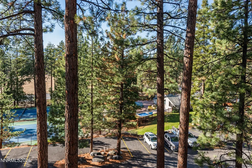 233 Clubhouse Stateline NV 89449