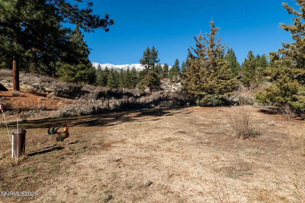 4650 Old Clear Creek Carson City NV 89705