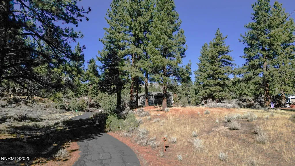 4650 Old Clear Creek Carson City NV 89705