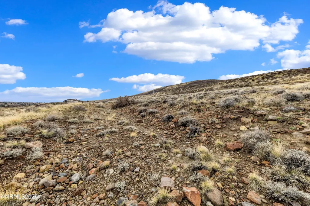 4255 Drop Tine Reno NV 89511