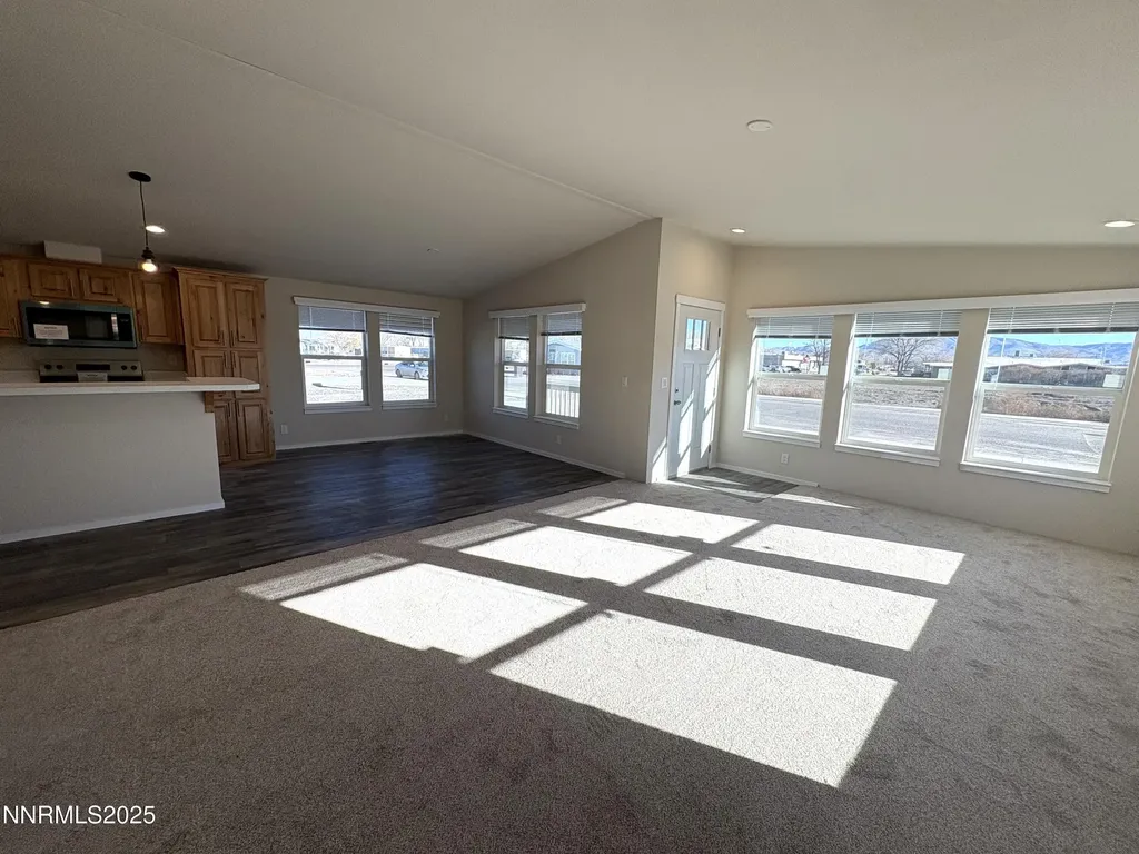 485 Camellia Lovelock NV 89419