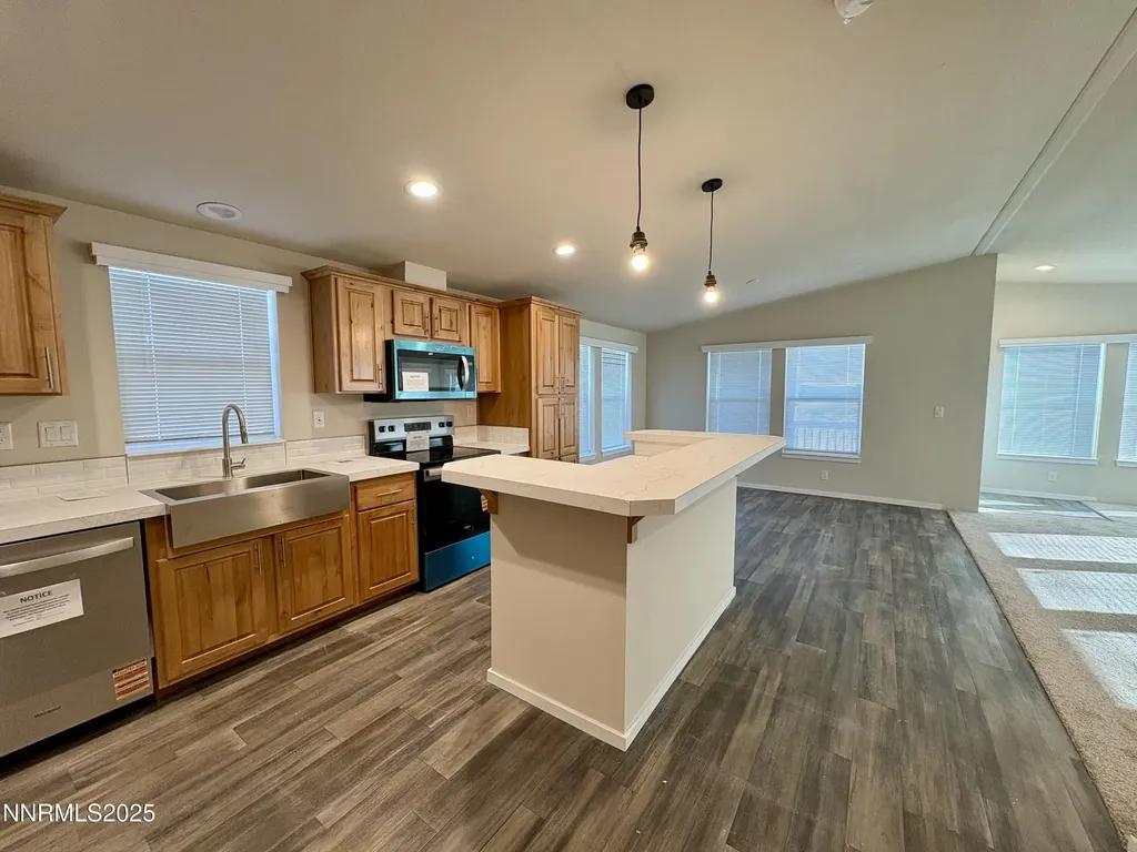 485 Camellia Lovelock NV 89419