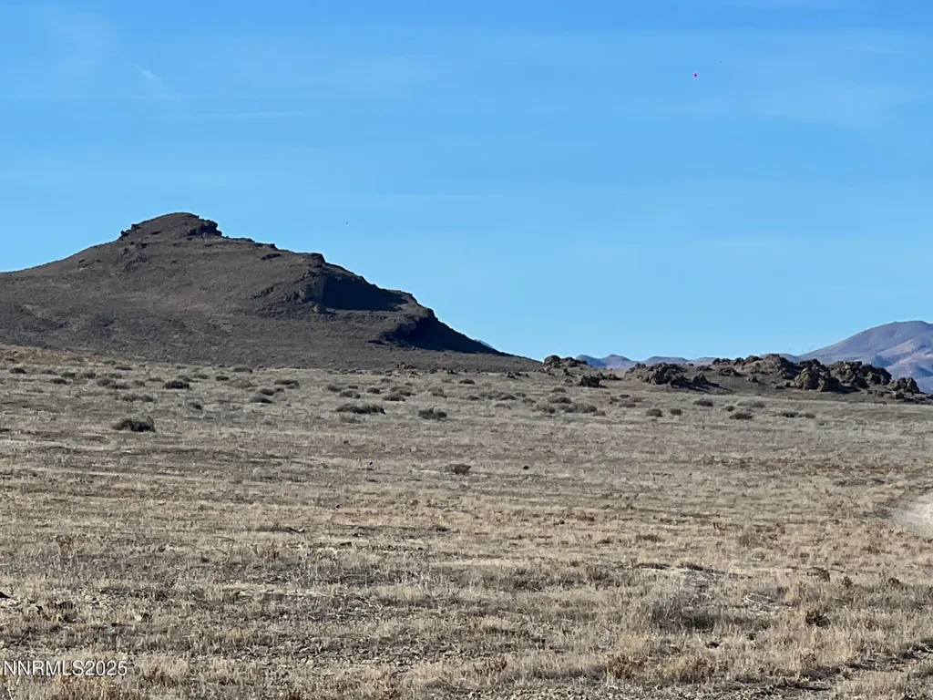 T27 R31 Sec 19 Lovelock NV 89419