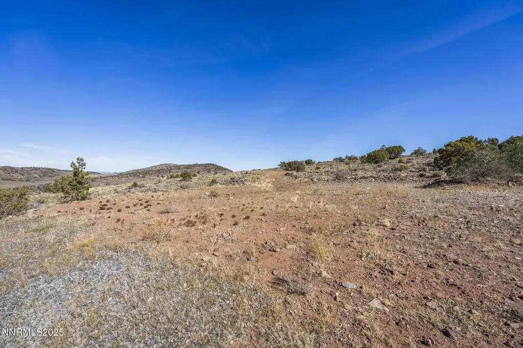 3790 Bullfrog Reno NV 89521