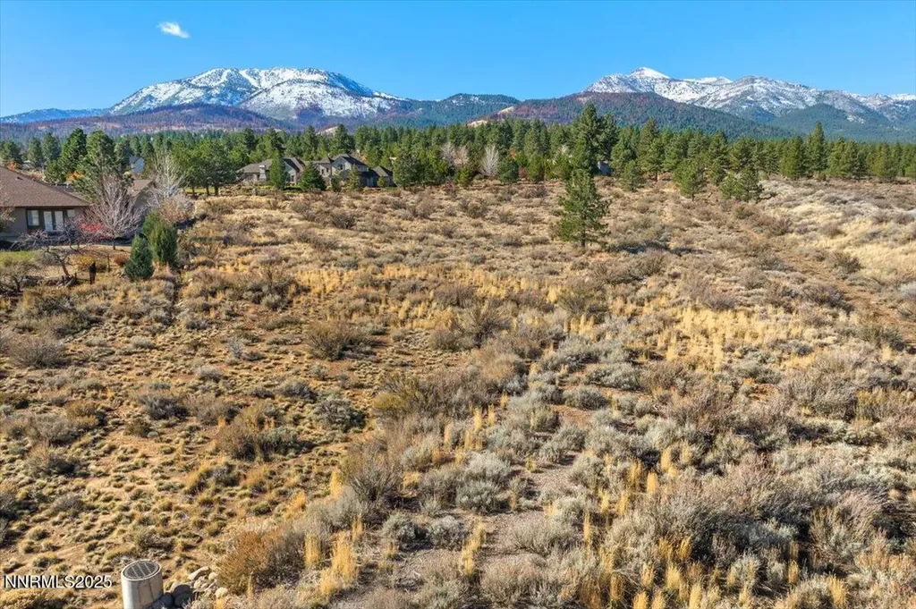 205 Paddington Reno NV 89511