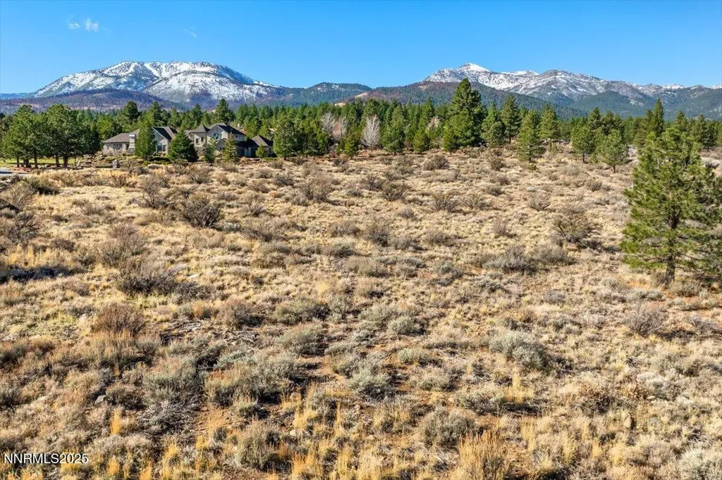 205 Paddington Reno NV 89511