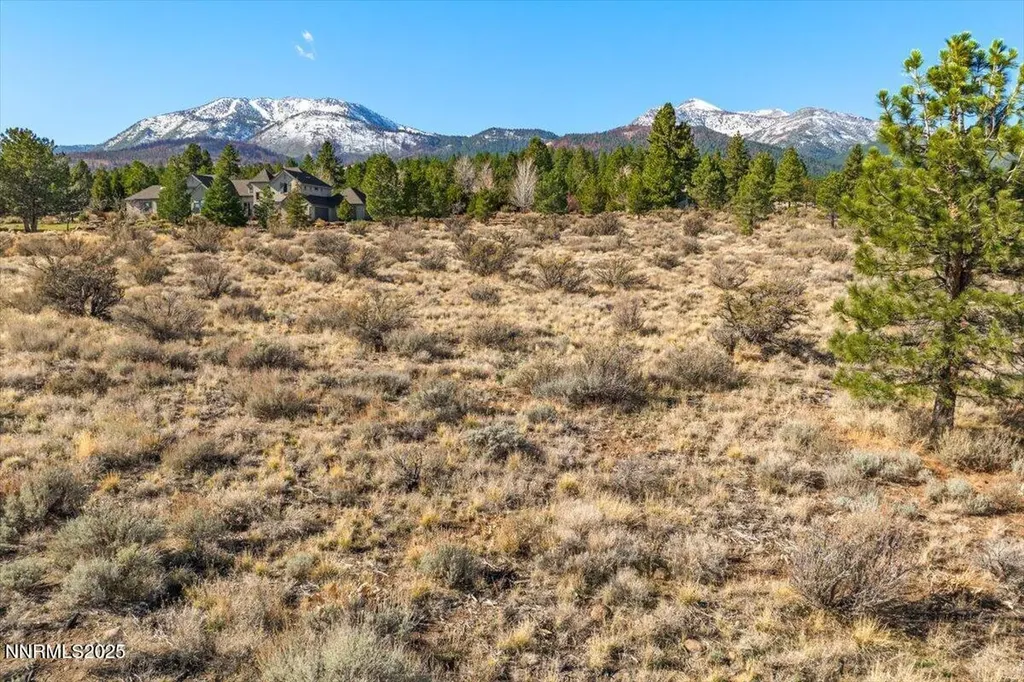 205 Paddington Reno NV 89511