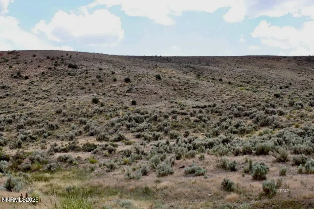 12.8 Acres Snow Bowl Road Elko NV 89801