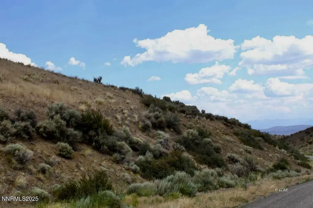 12.8 Acres Snow Bowl Road Elko NV 89801