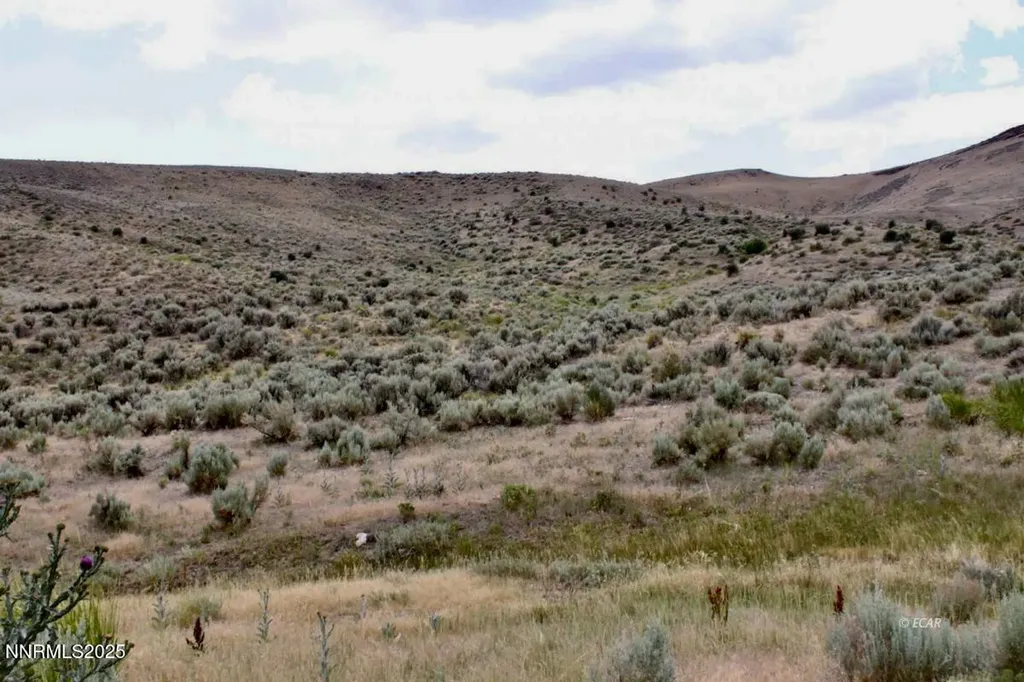 12.8 Acres Snow Bowl Road Elko NV 89801
