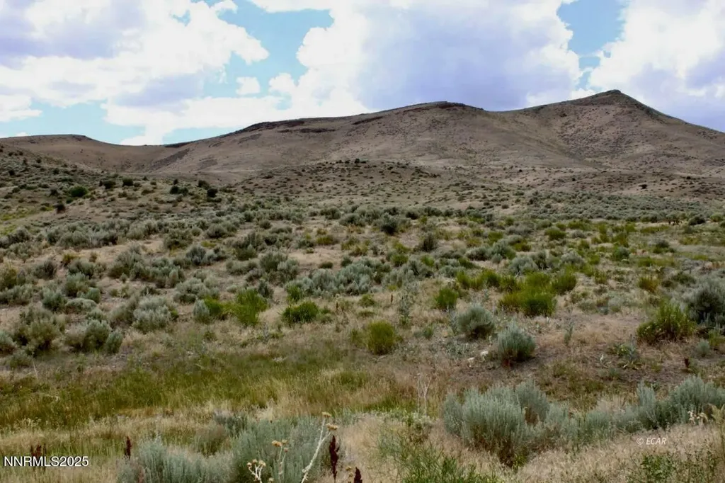 12.8 Acres Snow Bowl Road Elko NV 89801