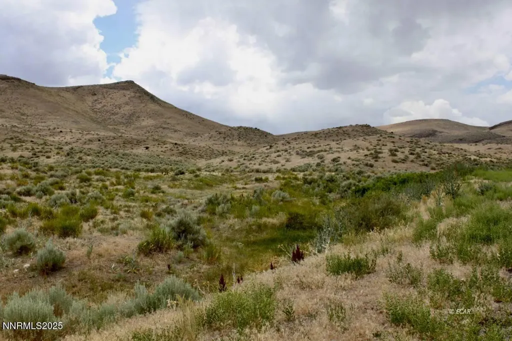 12.8 Acres Snow Bowl Road Elko NV 89801