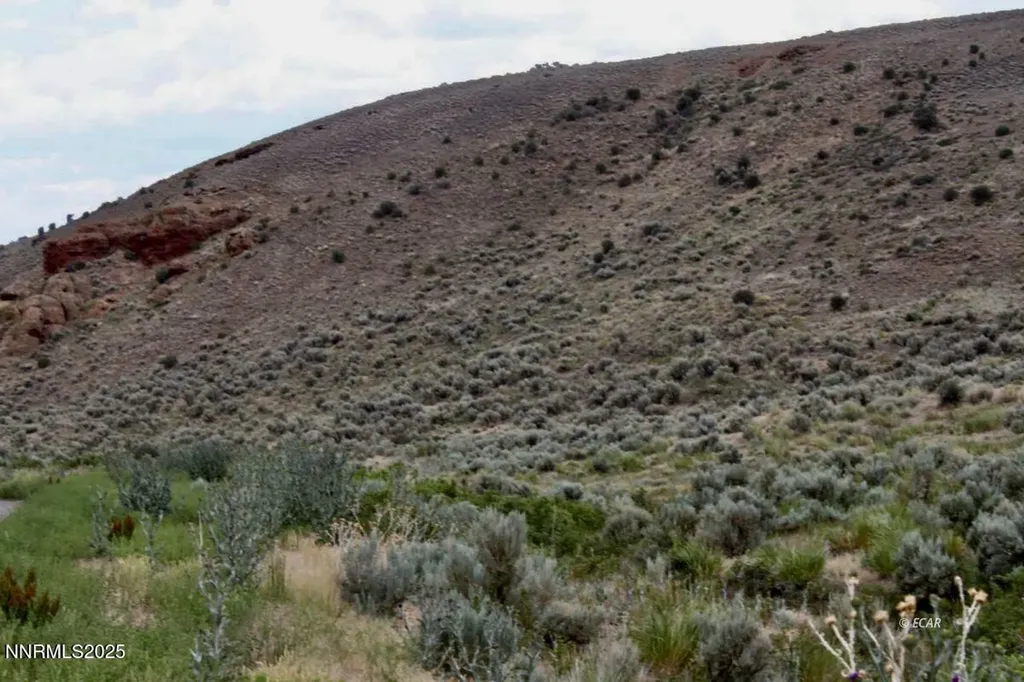 12.8 Acres Snow Bowl Road Elko NV 89801