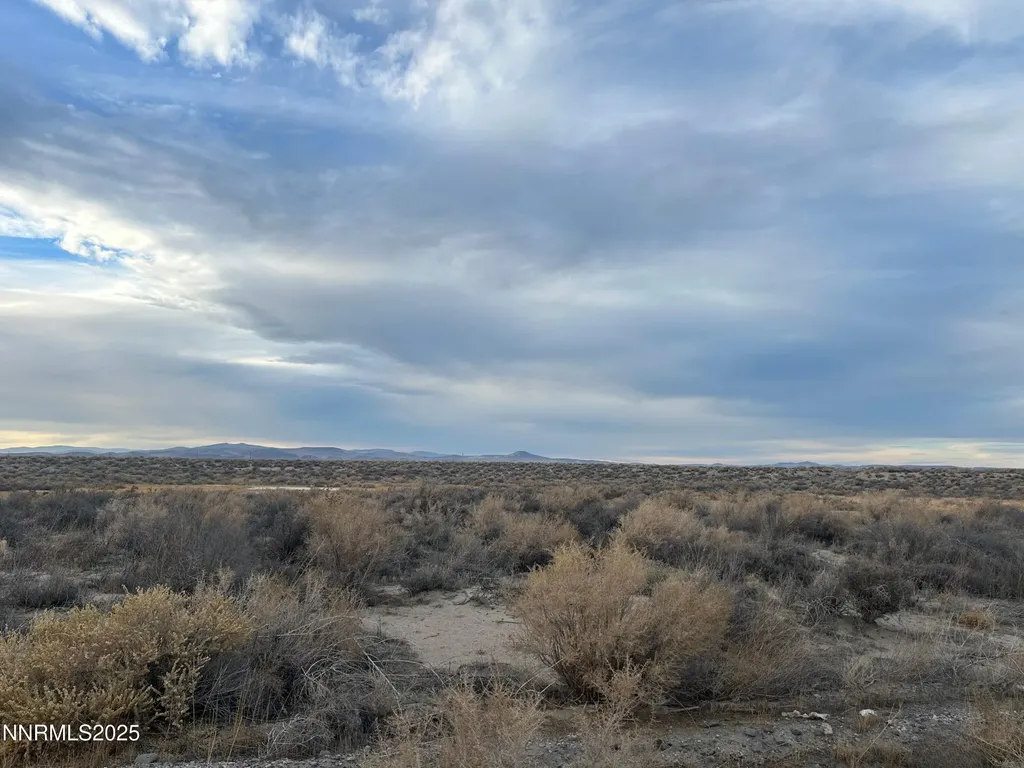 00931102 Apn Fallon NV 89406