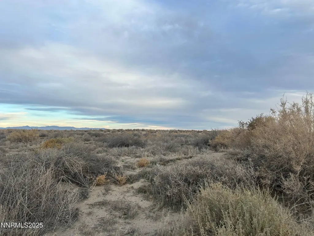 00931102 Apn Fallon NV 89406