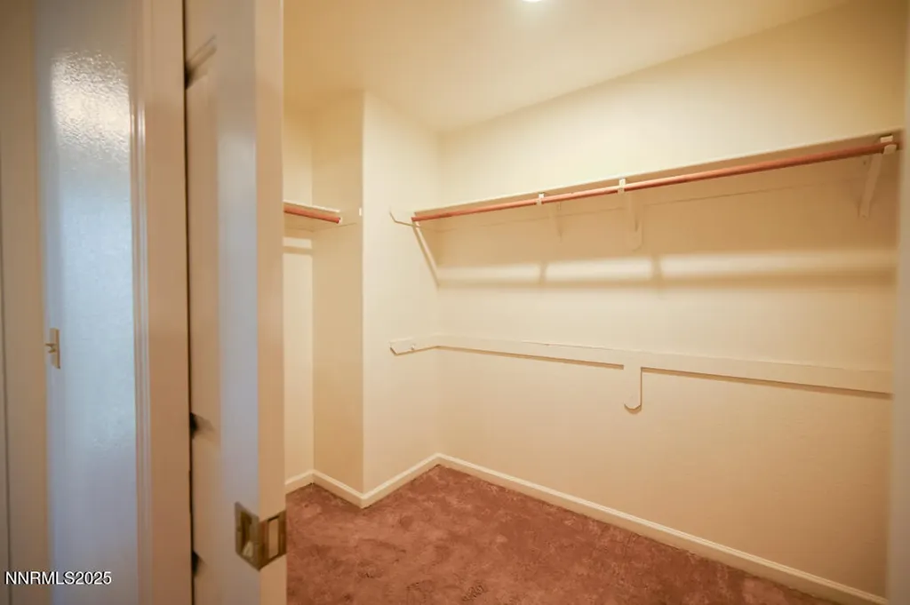 1290 Saddlehorn Minden NV 89423
