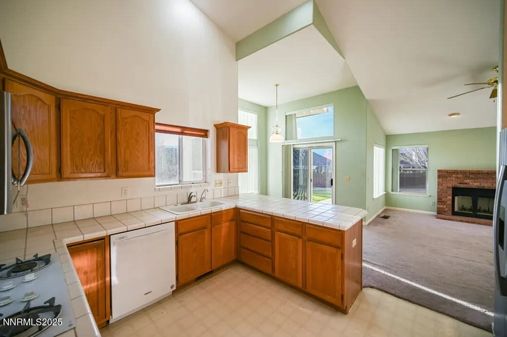 1290 Saddlehorn Minden NV 89423