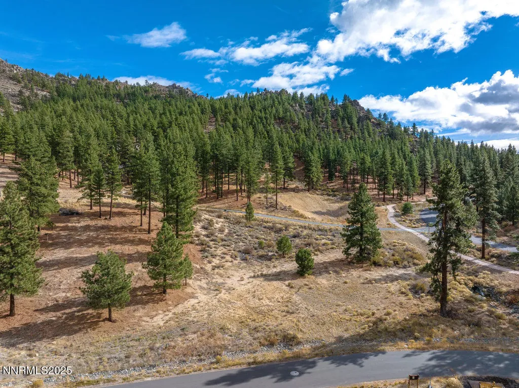569 Headwaters Carson City NV 89705