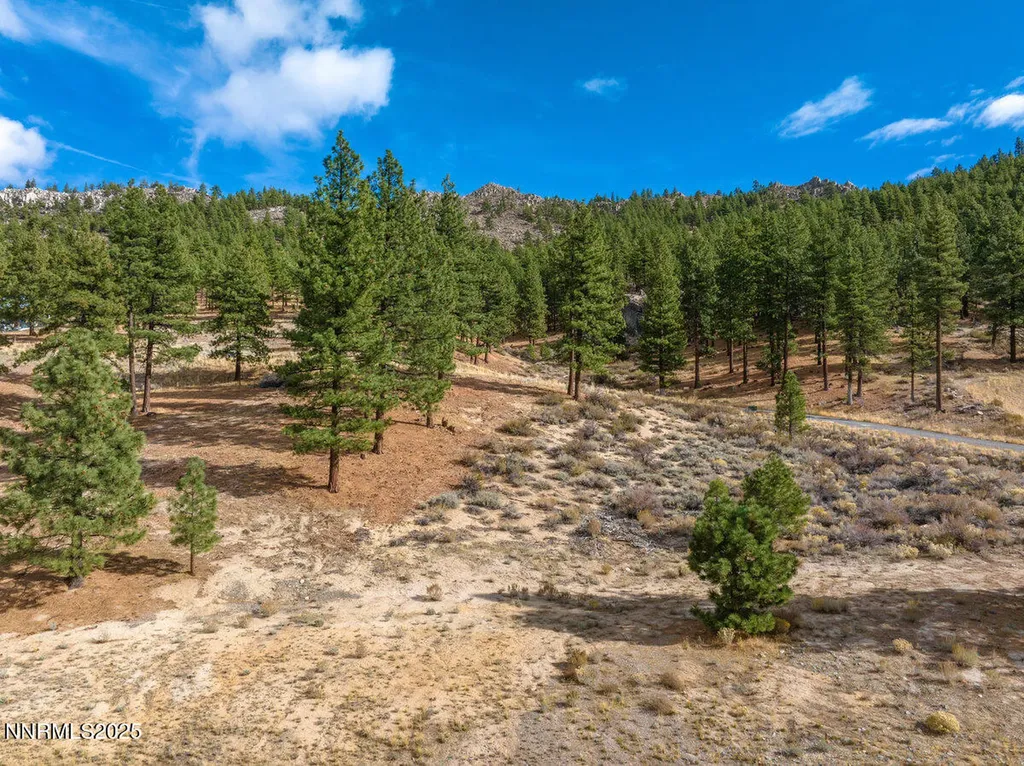 569 Headwaters Carson City NV 89705