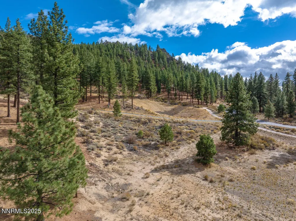 569 Headwaters Carson City NV 89705