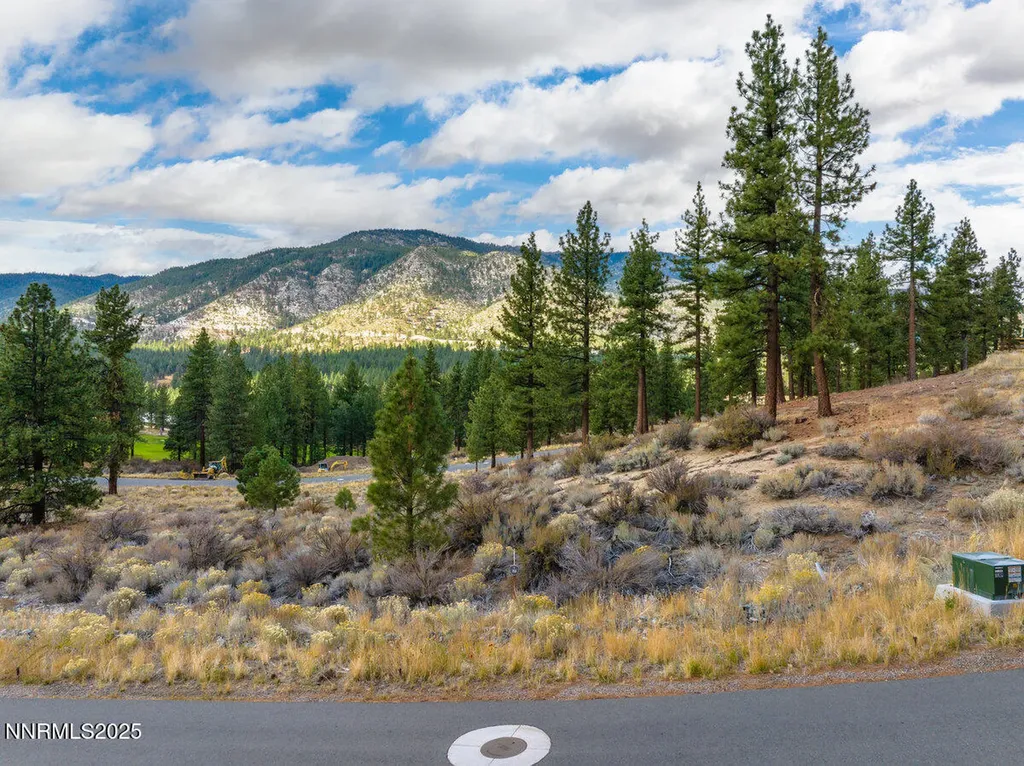569 Headwaters Carson City NV 89705
