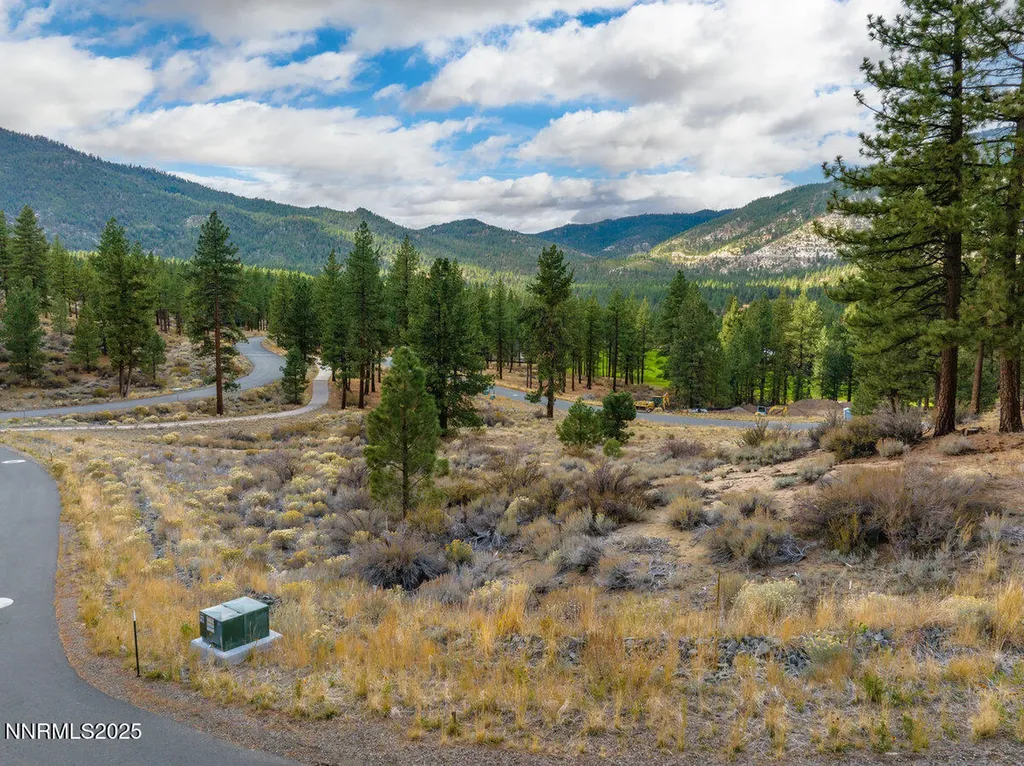 569 Headwaters Carson City NV 89705