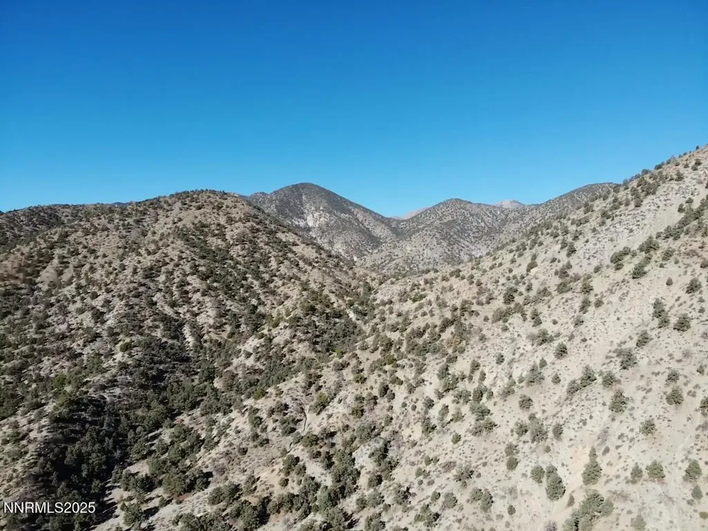 Tbd Alum Creek Road Hawthorne NV 89415