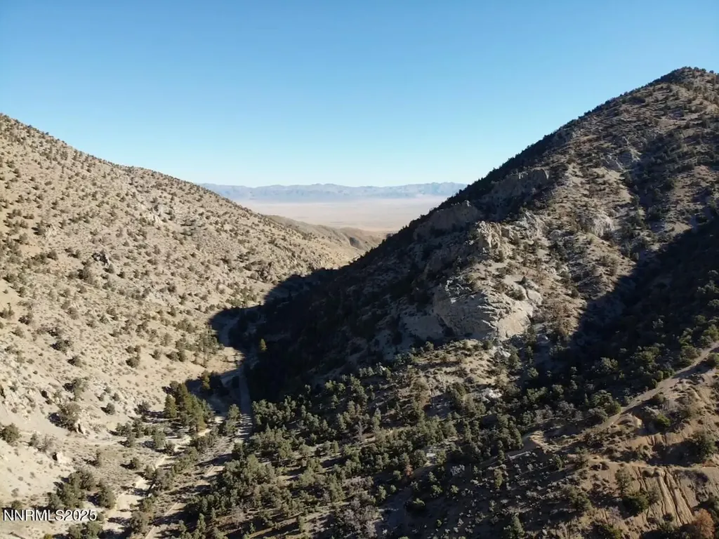 Tbd Alum Creek Road Hawthorne NV 89415