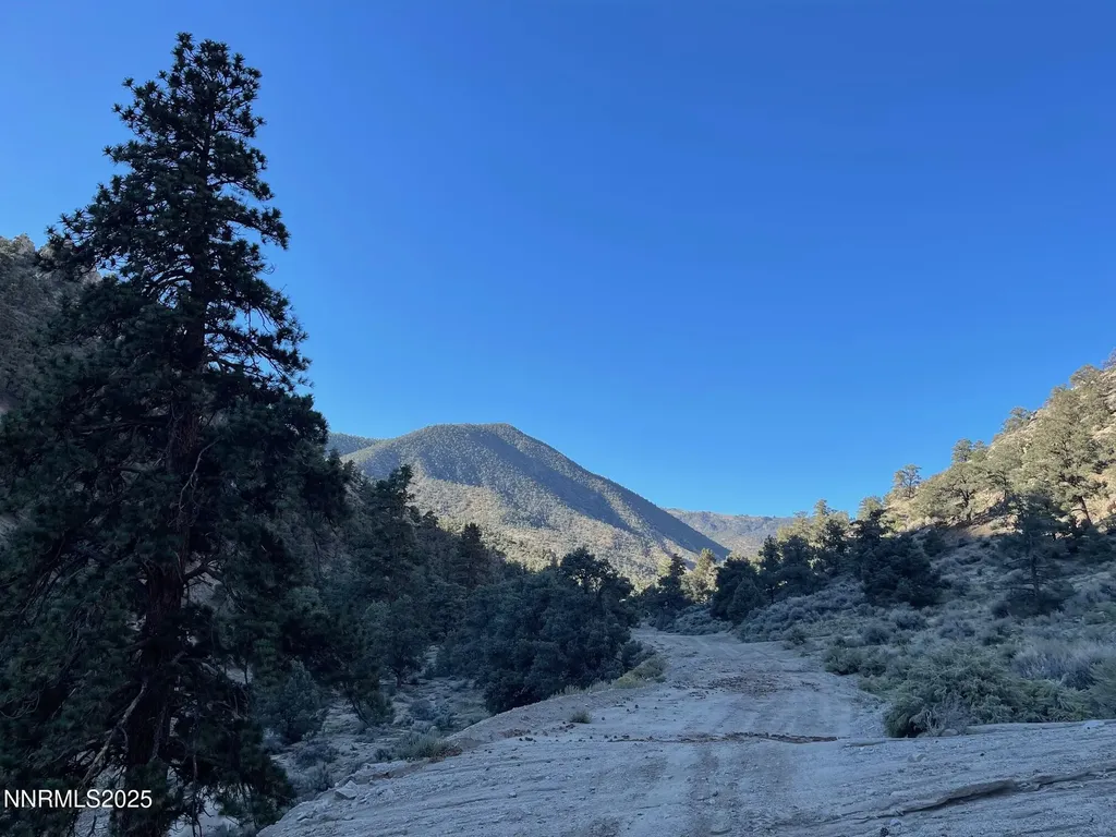 Tbd Alum Creek Road Hawthorne NV 89415