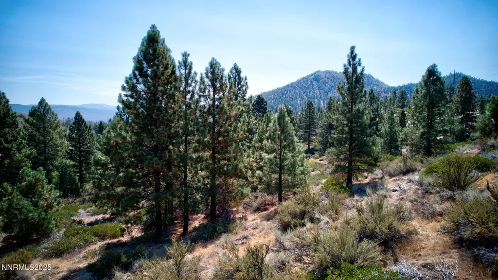 5645 Us Highway 50 Carson City NV 89701
