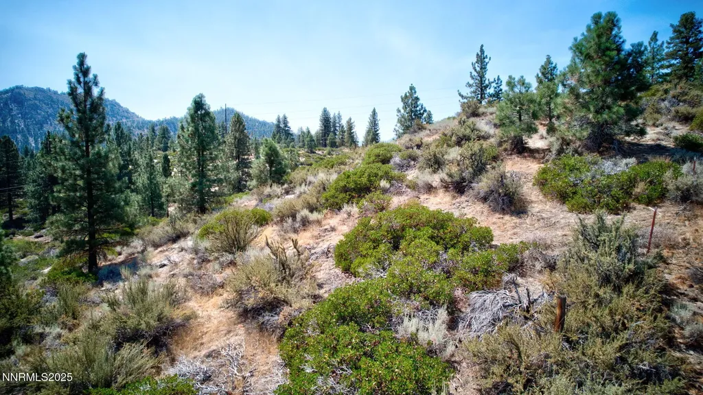 5645 Us Highway 50 Carson City NV 89701