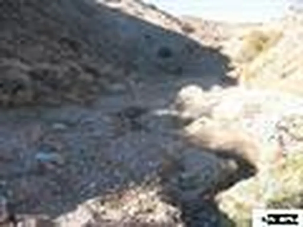 1205 Appian Reno NV 89510
