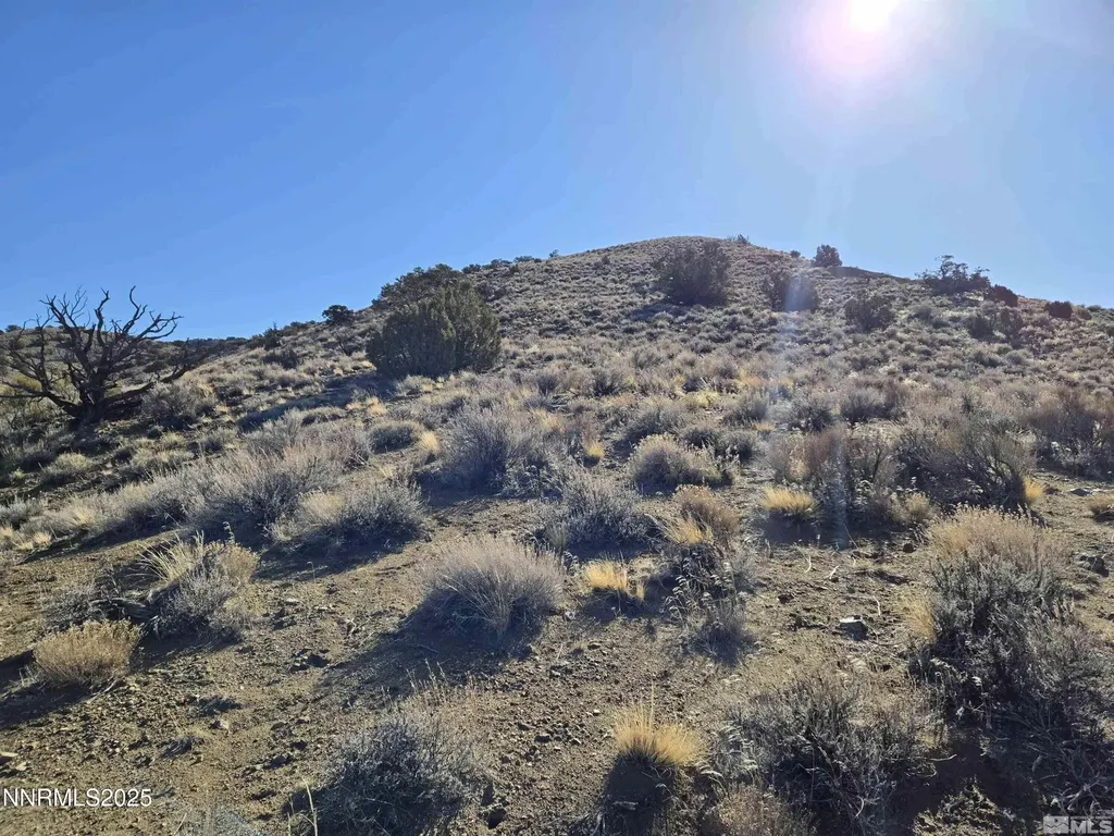 5150 Twin Springs Reno NV 89510
