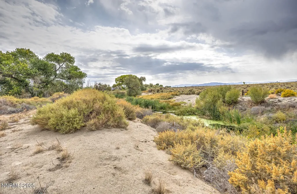 895 Howard Fallon NV 89406