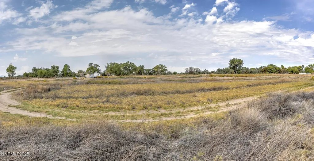 895 Howard Fallon NV 89406