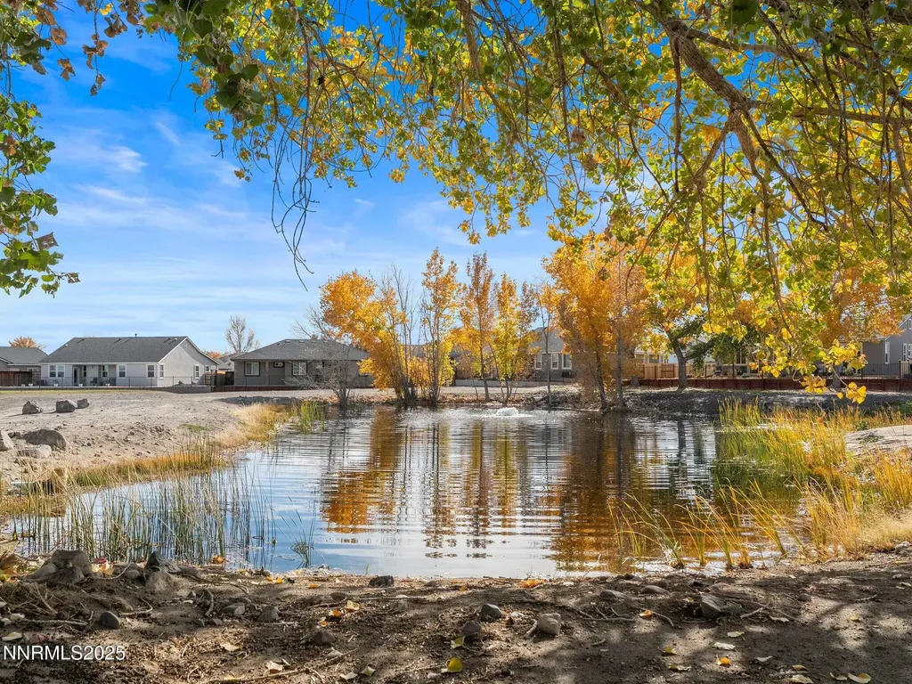 1805 Randy Fernley NV 89408