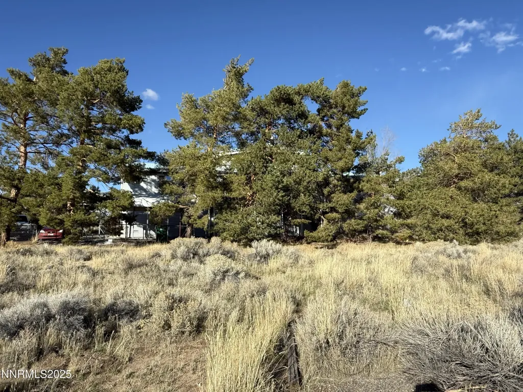 10160 Blackhawk Reno NV 89508