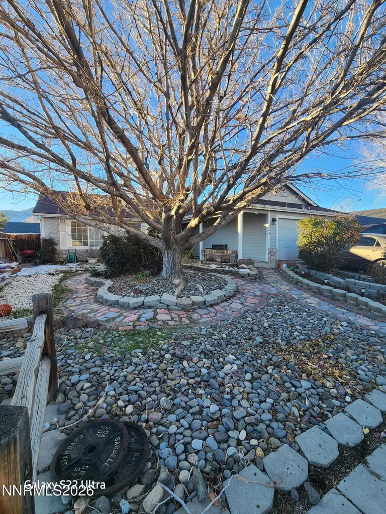 334 Monte Cristo Dayton NV 89403