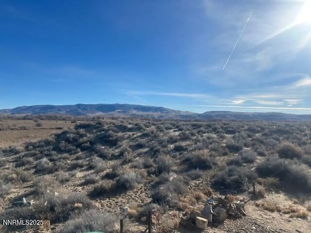 8800 Badger Silver Springs NV 89429
