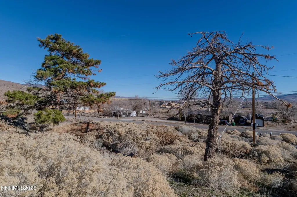 310 Grosh Dayton NV 89403