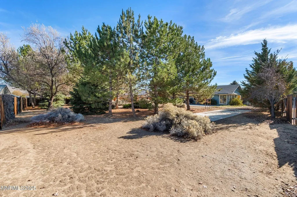 391 Taryn Spanish Springs NV 89436
