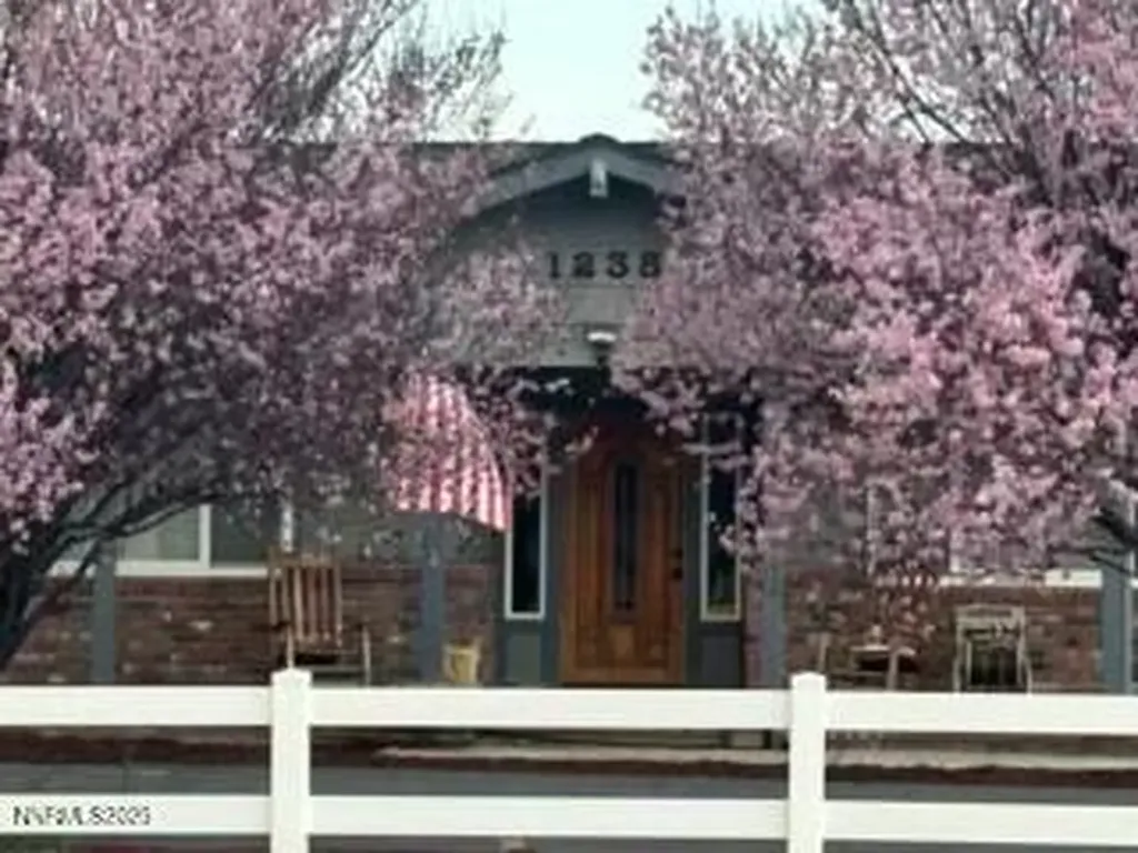 1235 Koontz Carson City NV 89701