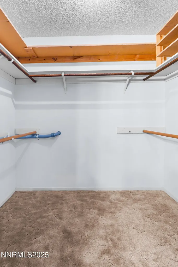 10 Julie Winnemucca NV 89445