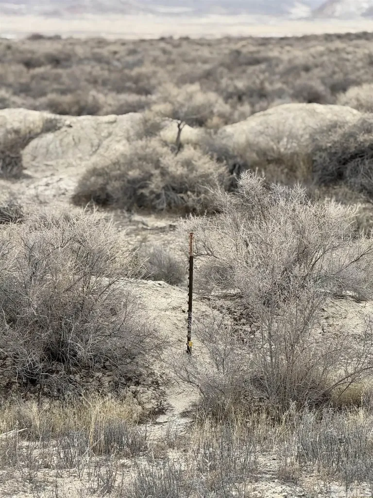 2500 Old Emigrant Lovelock NV 89419