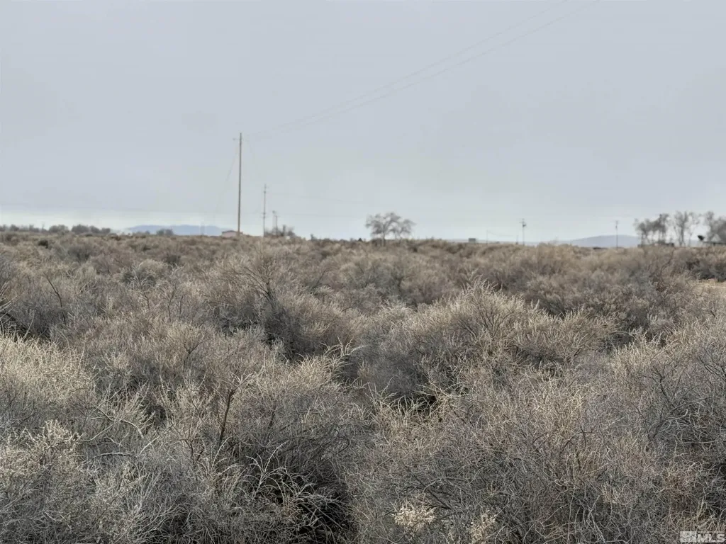 2500 Old Emigrant Lovelock NV 89419