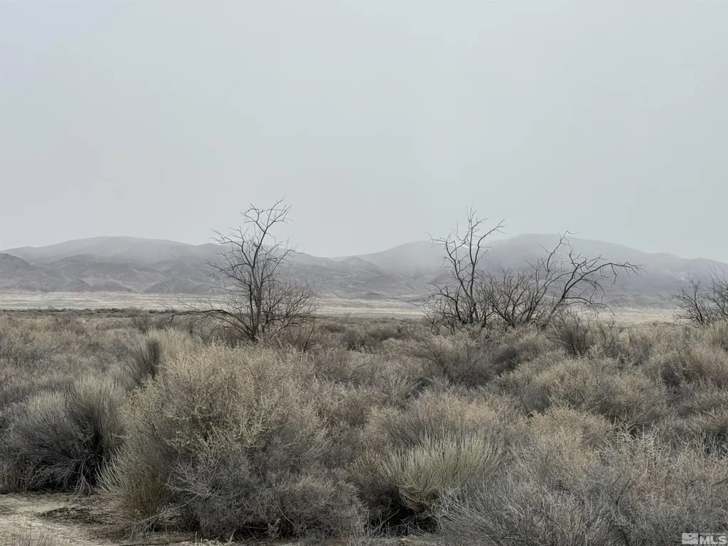 2500 Old Emigrant Lovelock NV 89419